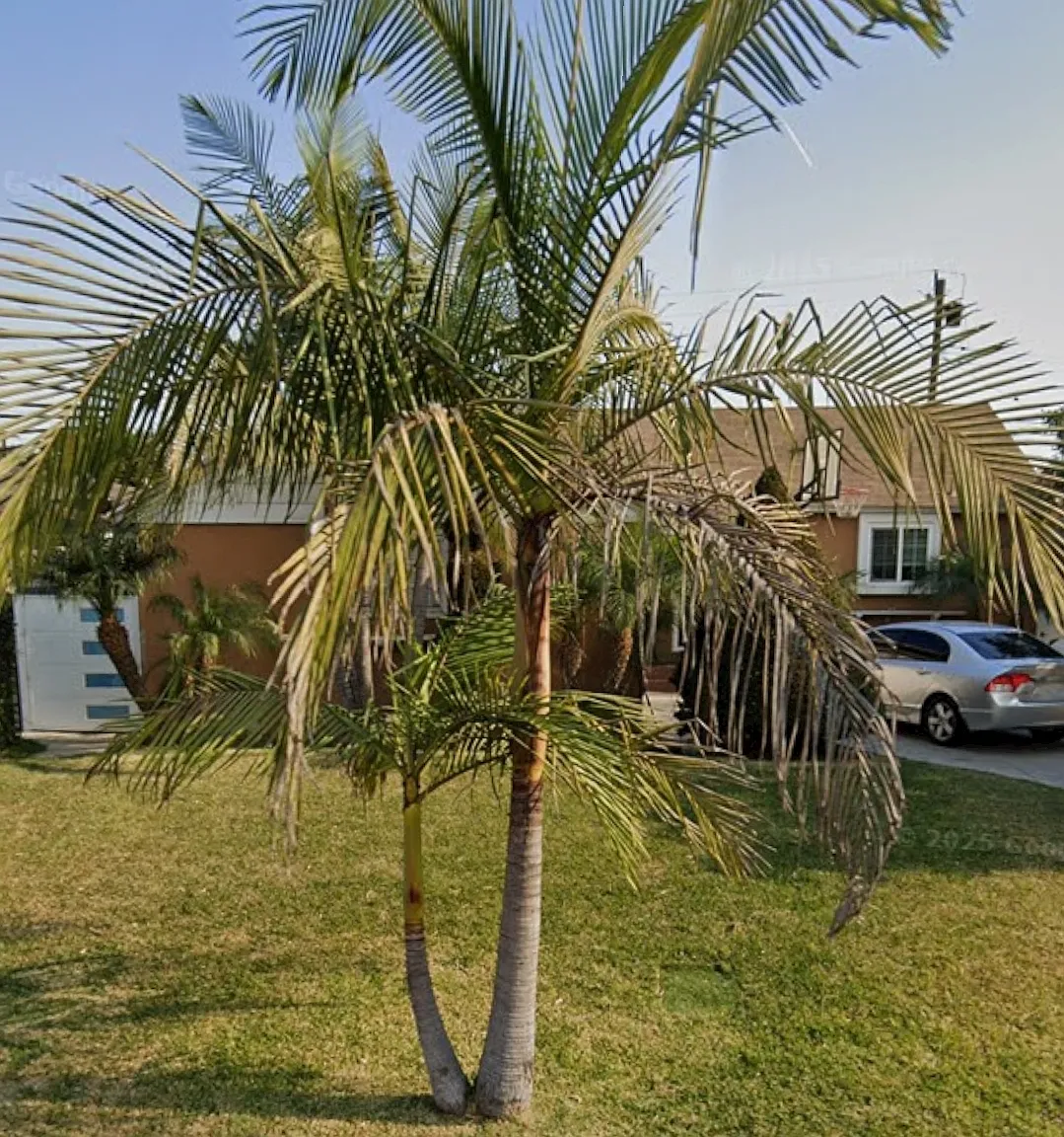 Studio, 390 sqft, $1,560 — Photo 2