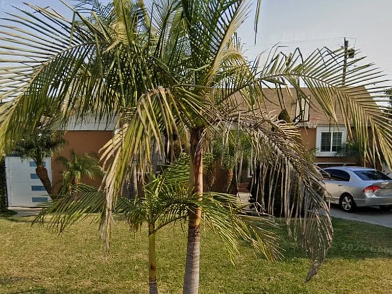 13024 Woodruff Ave — Photo 1