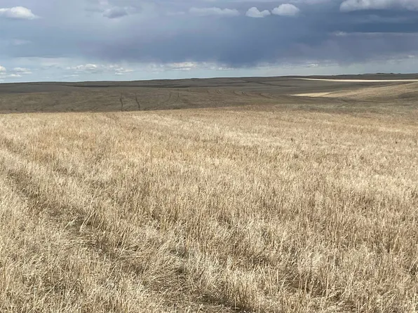 Highway 79, Newell, SD 57760