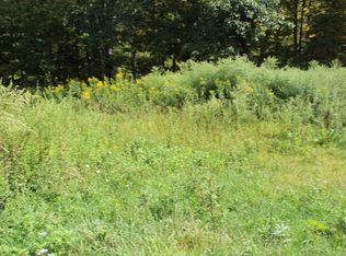 3331 Brush Ridge Rd, Fleischmanns, NY 12430