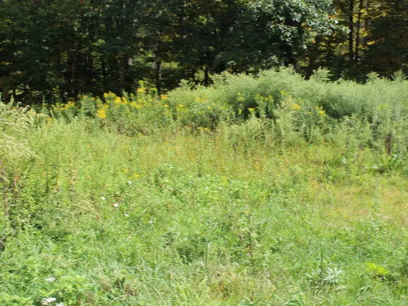 3331 Brush Ridge Rd, Fleischmanns, NY 12430