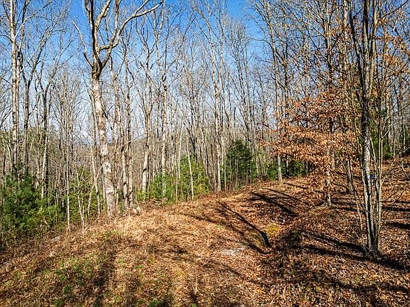 4th image of 341 Chemin Colwell Dr