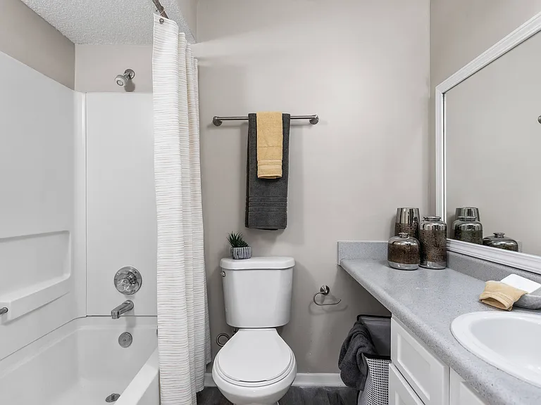 Bathroom View