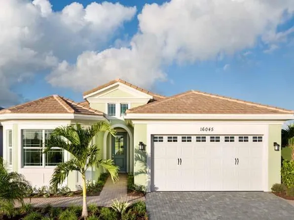 Schefflera Plan, Westlake