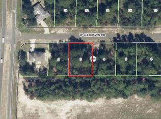 308 W Glenhaven Dr, Citrus Springs, FL 34434