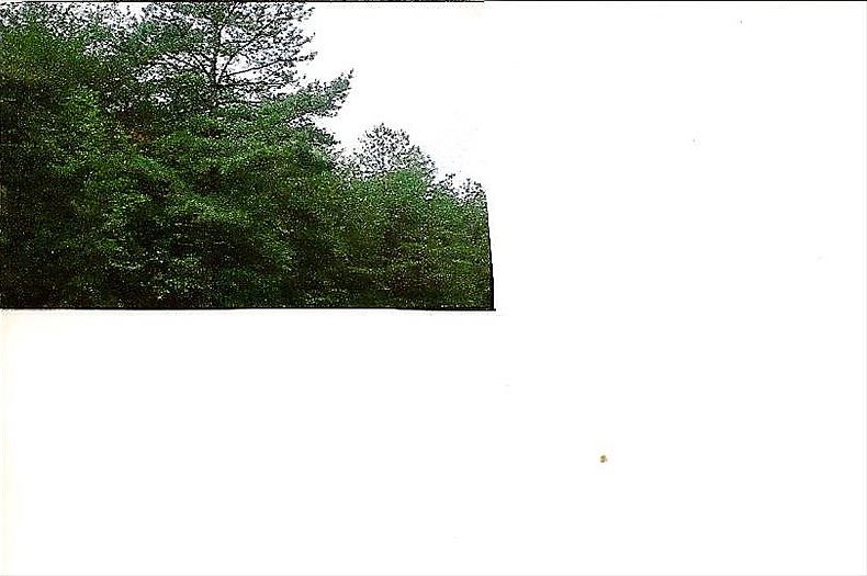 2nd image of 183 Golf Course Rd