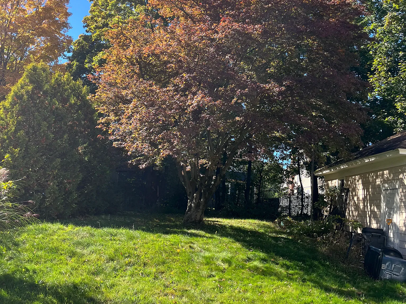 2 bed, 1500 sqft, $2,200 — Photo 3