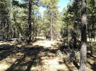 2591 Monks Hood Rd, Show Low, AZ 85901