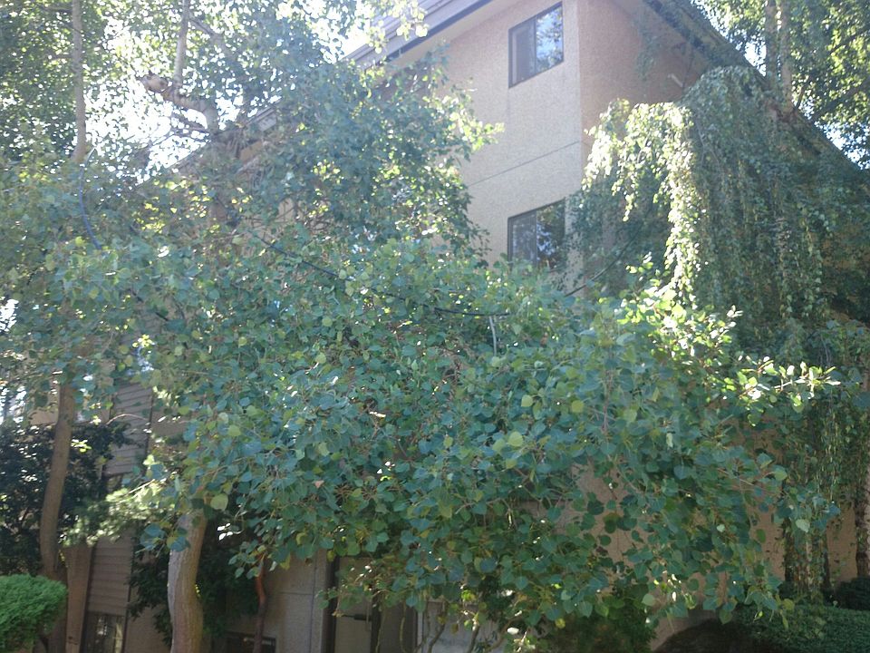1st image of 2550 Thorndyke Ave W APT 202