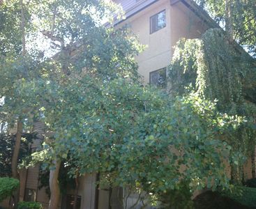 2550 Thorndyke Ave W APT 405, Seattle, WA, 98199
