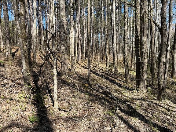 5th image of 0 Henderson Mountain Rd