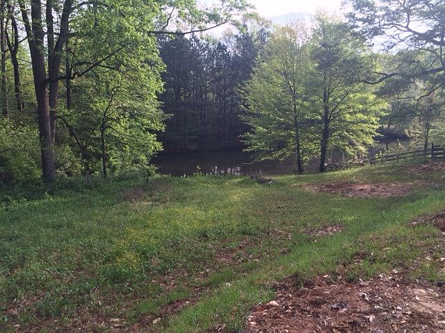 Front Pasture
