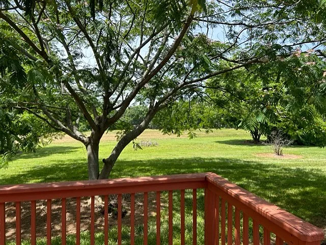 3543 Buffalo Shoals Rd — Photo 13