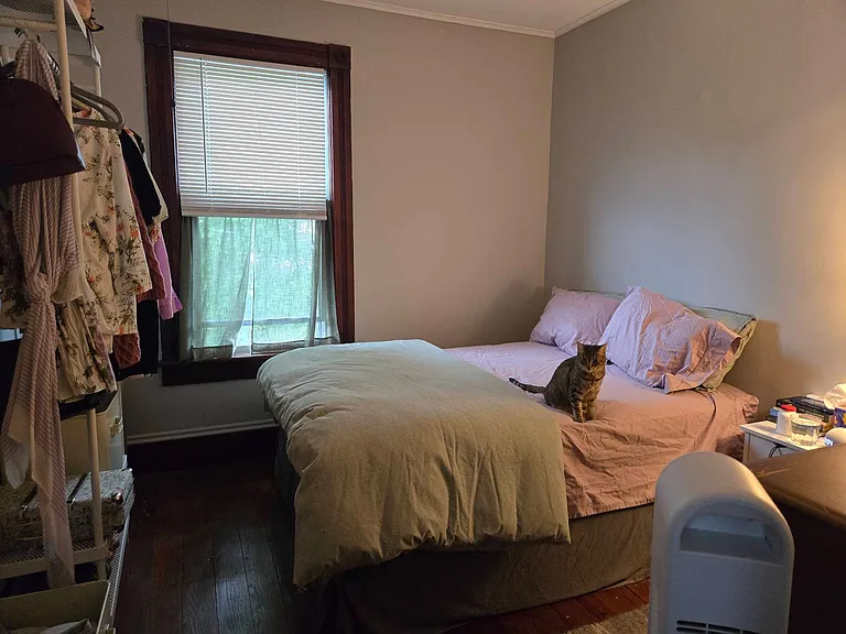 Bedroom 1 with feline resident