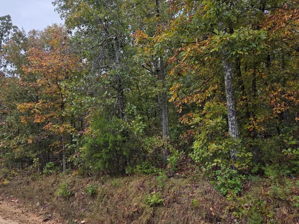 Britton Hill Rd, Mammoth Spring, AR 72554