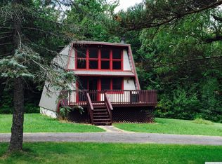 217 High Peak Rd, Hensonville, NY 12439