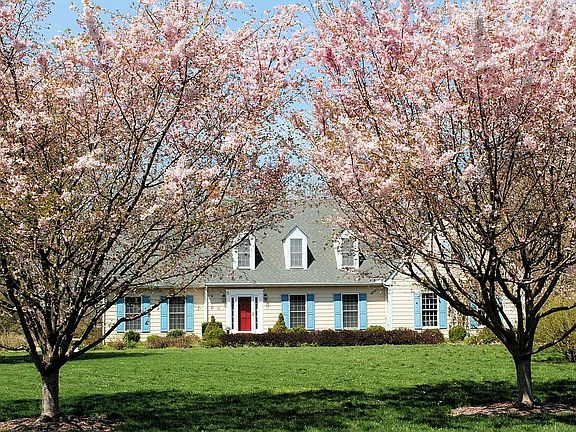 Biannual Bloom on trees