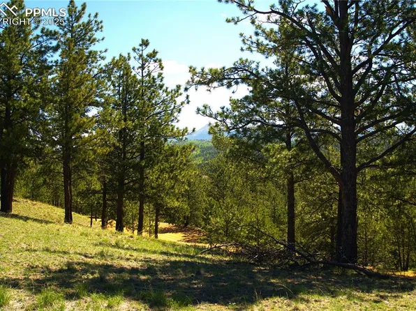 29 Dexter Cir, Cripple Creek, CO 80813