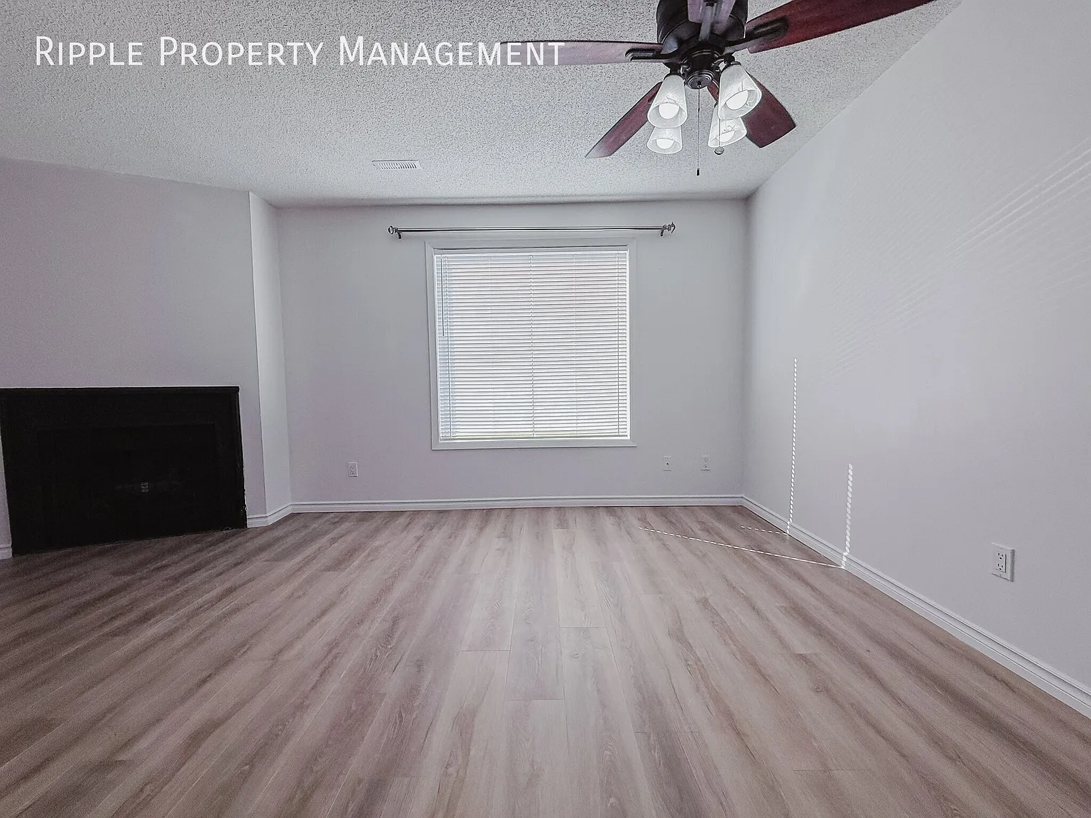 2 bed, 1.0 bath, 1067 sqft, $1,550 — Photo 4