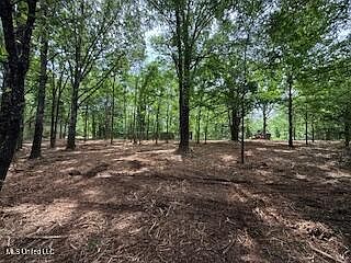 2nd image of S Red Banks Rd