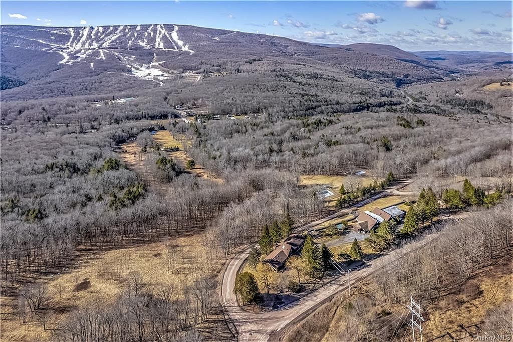 111 Clubhouse Drive, Pine Hill, NY 12465 MLS H6238966 Zillow