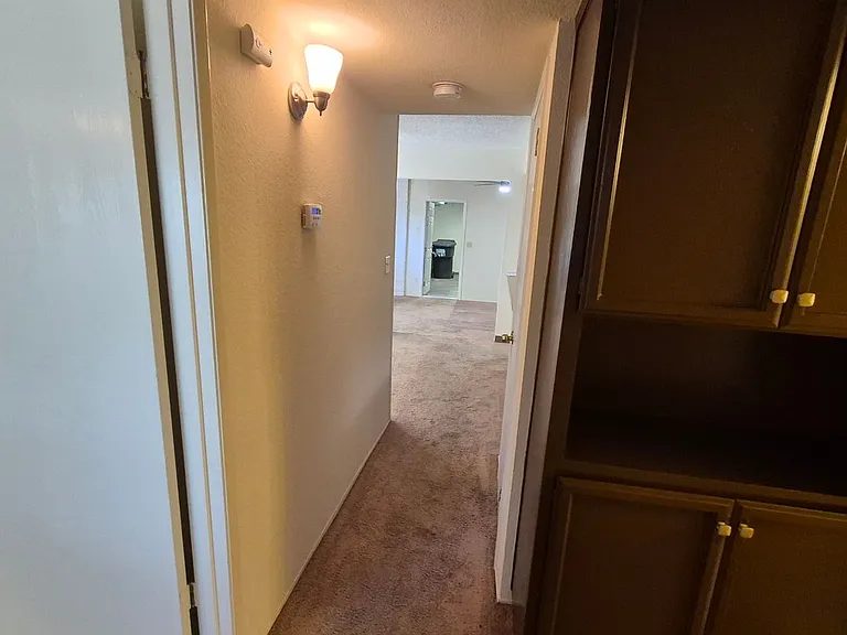3332 Jayanne Way — Photo 9