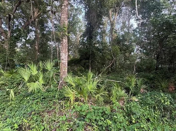 472 NE AVENUE AVENUE #200, OLD TOWN, FL 32680
