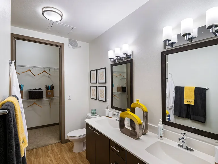Bathroom with Large Vanity and Walk-In Closet