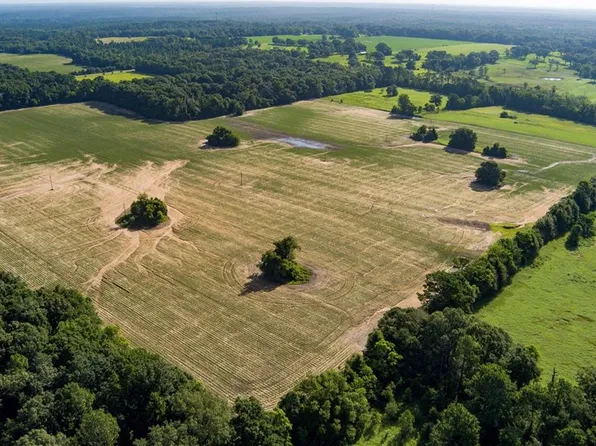 (undisclosed Address), Wilmer, AL 36587