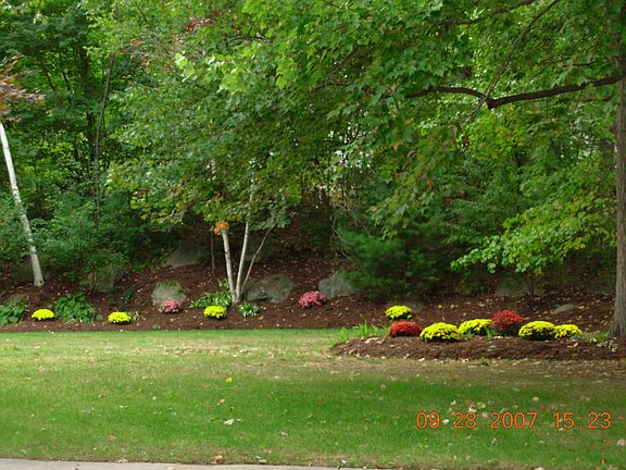 6000 sq. ft. back lot