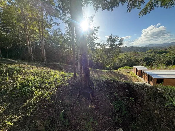 Avenue Praderas Pl, Cayey, PR 00736