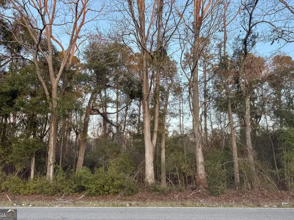 0 Lakeview Rd, Statesboro, GA 30461