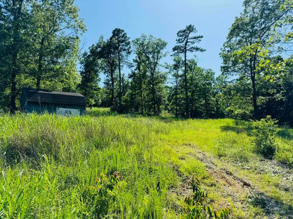 941 Lewis Ln, Melbourne, AR 72556