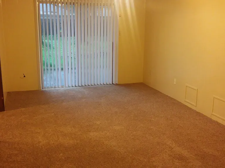 3508 Dewberry Dr — Photo 6