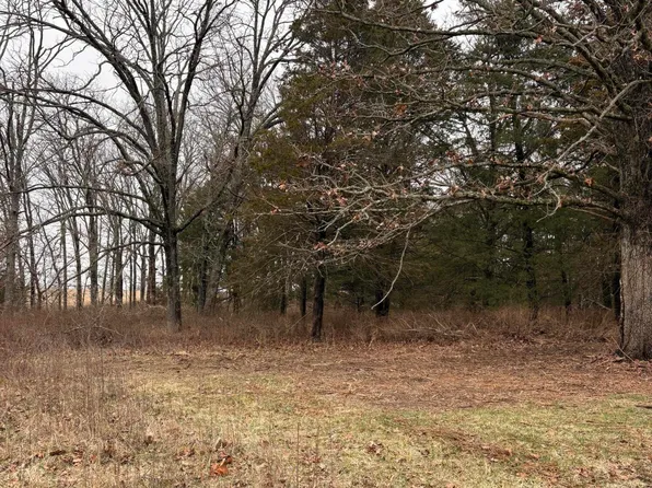000 Chicory Road #Tract 3, Rogersville, MO 65742