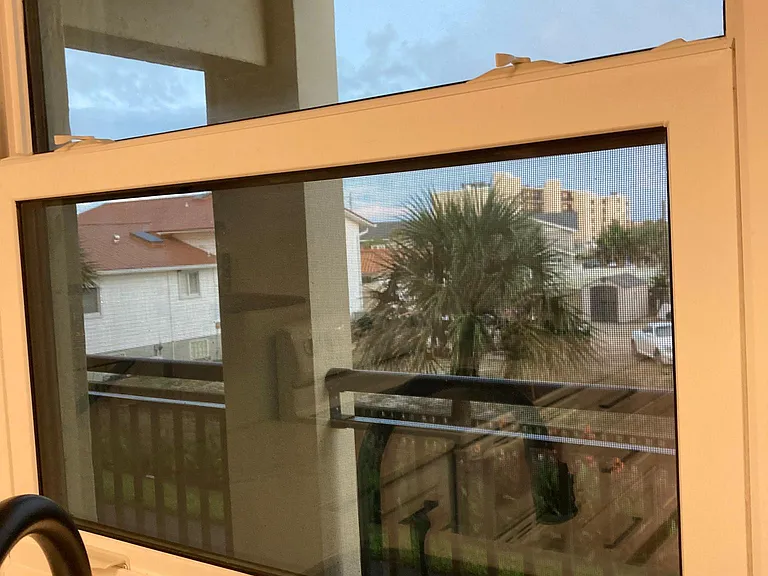 View from kitchen window.