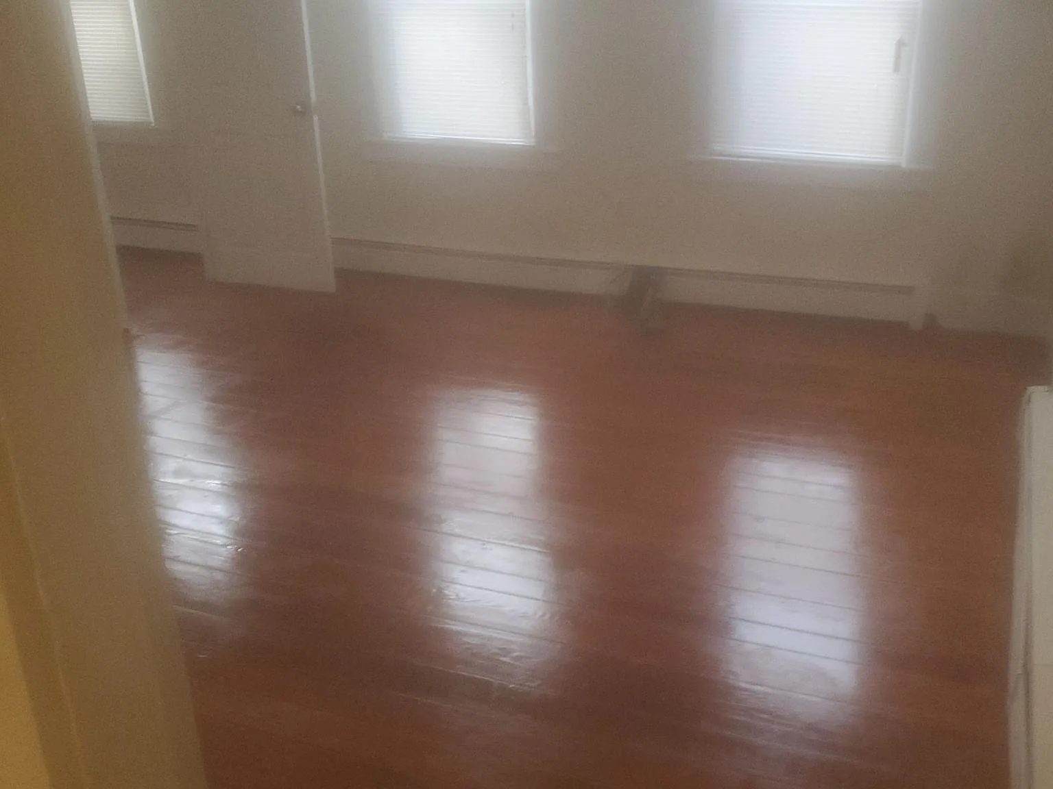 2 bed, $1,700 — Photo 3
