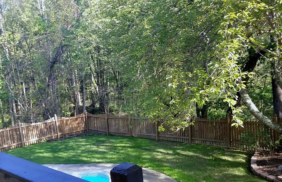 backyard from deck