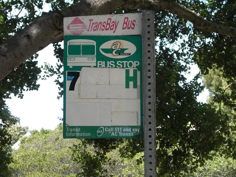 Bus Lines