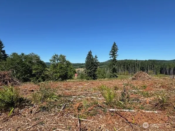 0 Lot 6 Nelson Road, Winlock, WA 98596