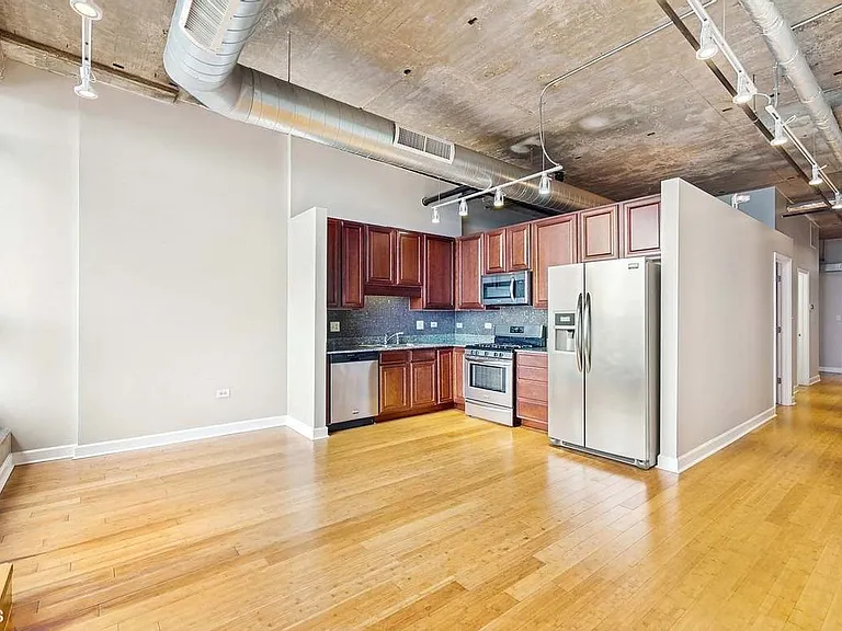 1550 S Blue Island Ave #1118 — Photo 7