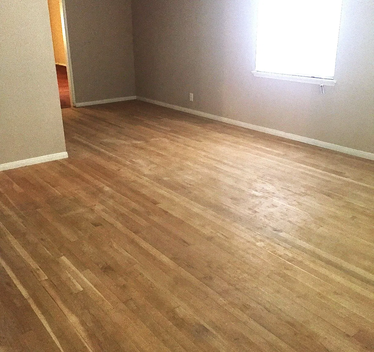 3 bed, 1500 sqft, $2,450 — Photo 1