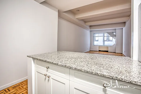 Rented by Platinum Properties | media 1