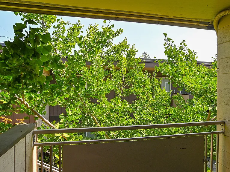 Royal Terrace — Photo 46