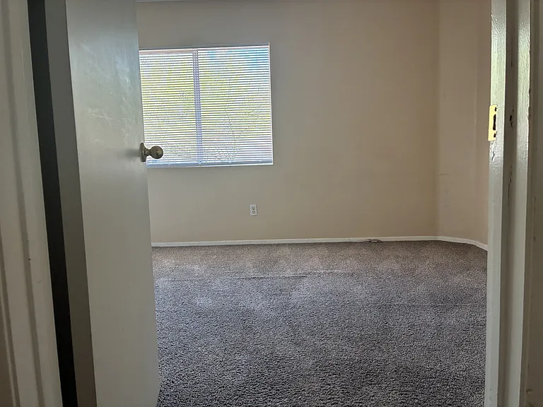 3001 Johannan Ln — Photo 6