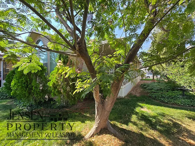147 Ash St — Photo 19