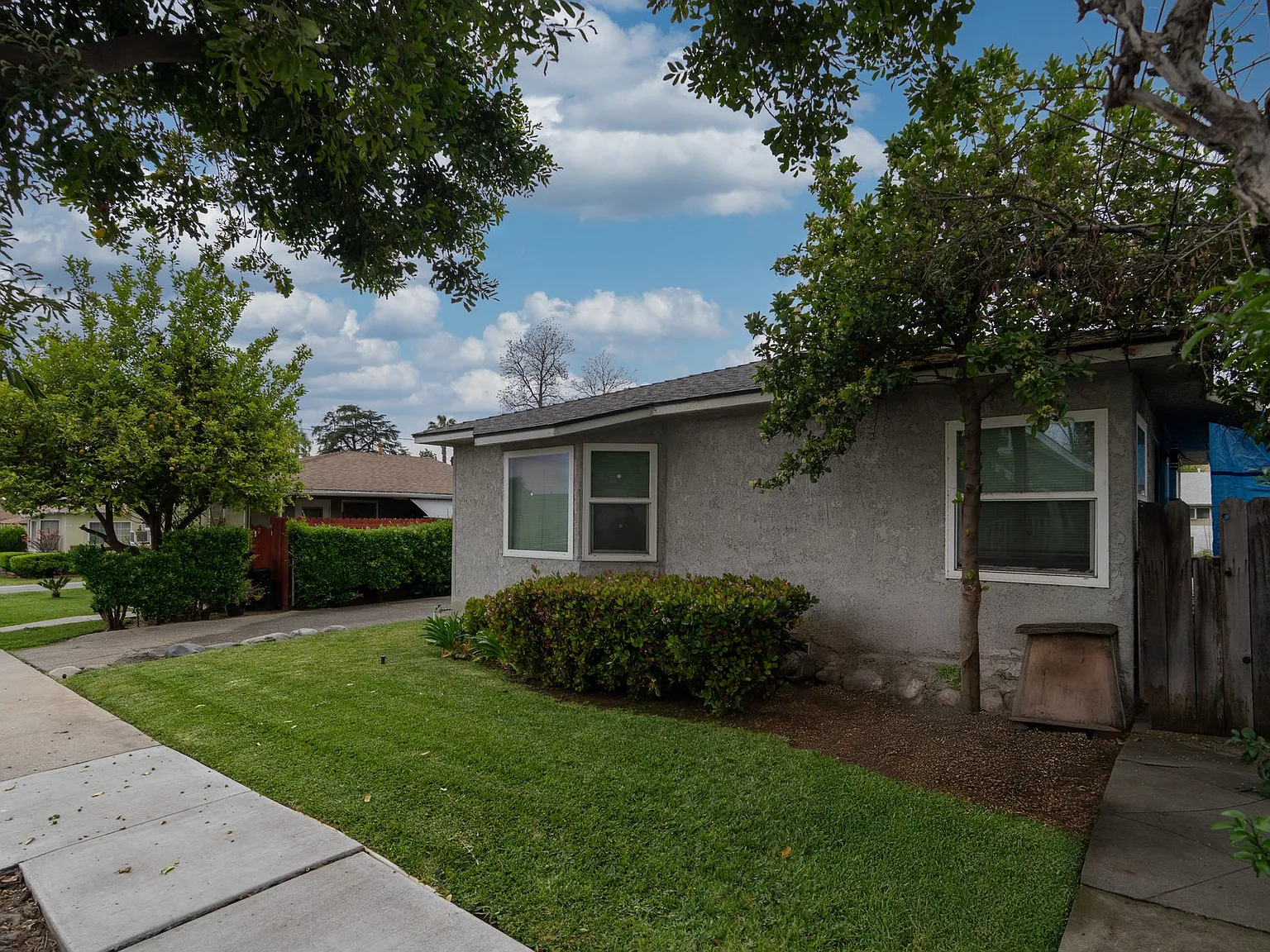 205Mayf — Photo 1
