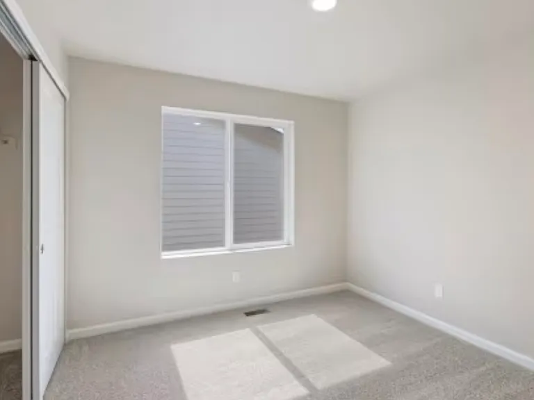Room for rent with bright sunlight and standard closet. If need more closet space more closets next to room.