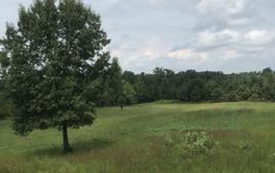 (Undisclosed Address), Ola, AR, 72853