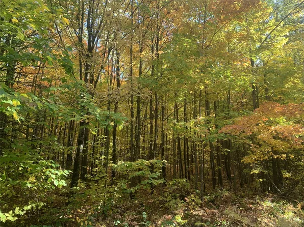 119 +/- A Off Forest Rd 167, Glidden, WI 54527